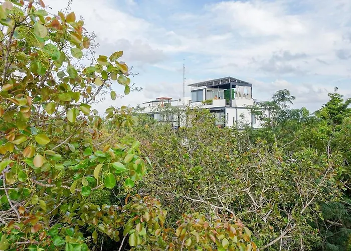 Big House For Groups Near The Pyramid Fast Wifi Casa de férias Tulum